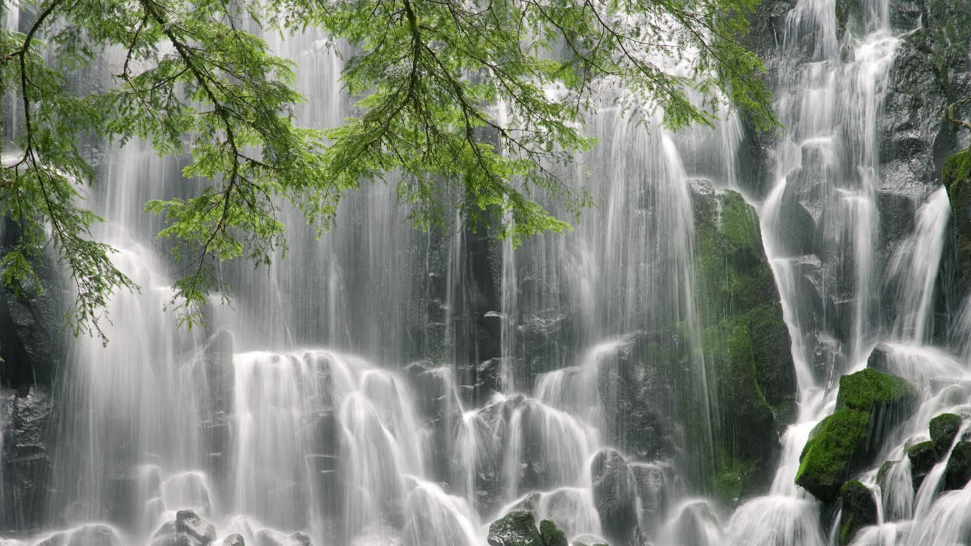 世界举重基层联赛赛季结束：黑马俱乐部冲进半决赛，世界举重比赛规则